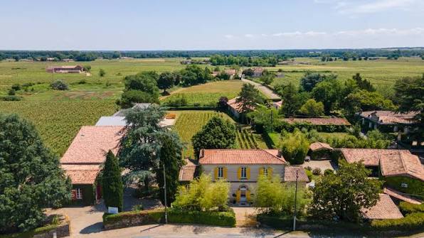 Vignobles Dubourdieu