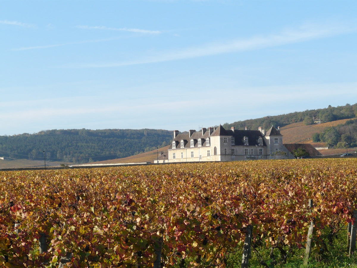 Domaine Bernard Rion