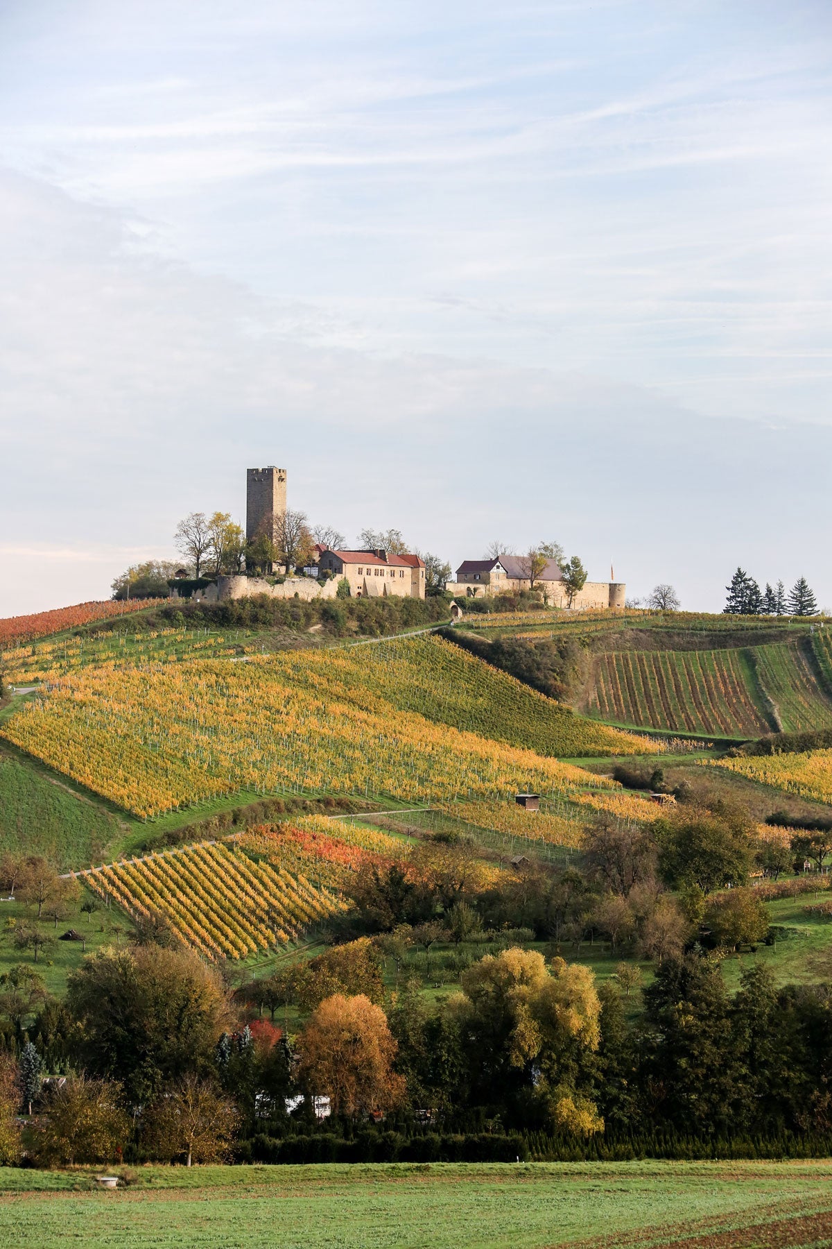 Burg Ravensburg