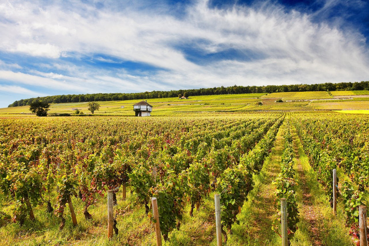 Domaine Nudant